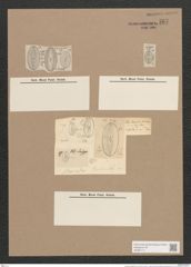 Navicula forcipata Grev. (de-Toni-Nr.: Genus 1, Species 332) Zeichnungen Sammlung Grunow Nr. 767 (NHMW-BOT-W0367171)